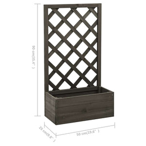 Garden Trellis Planter