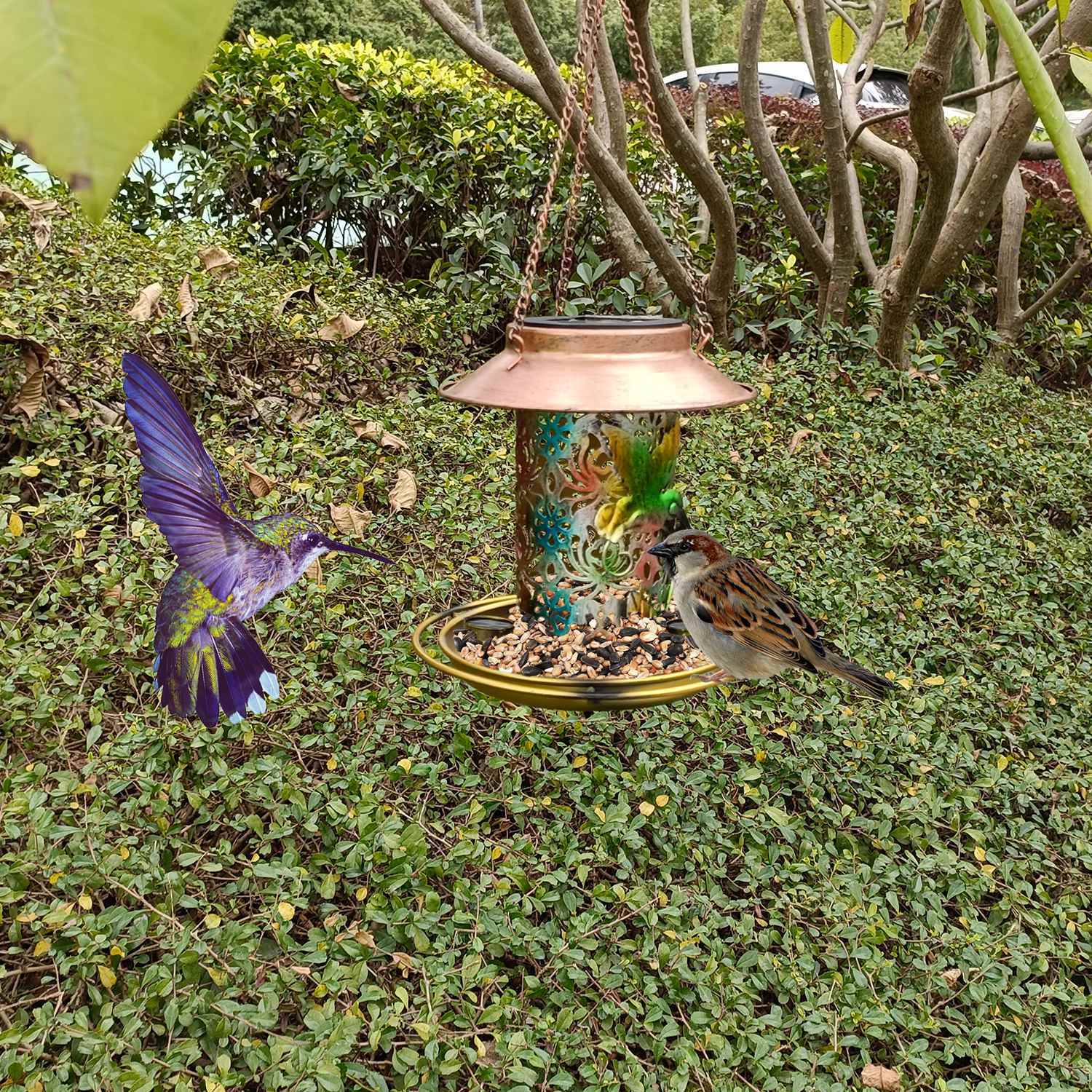 Solar Hanging Bird Feeder Decorative Lantern - The Yardtopia