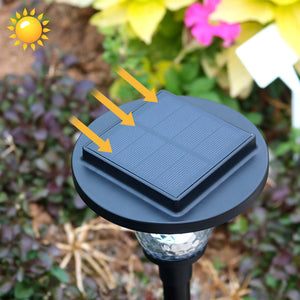 Solar Powered Outdoor Path Lights - 6 Piece Set