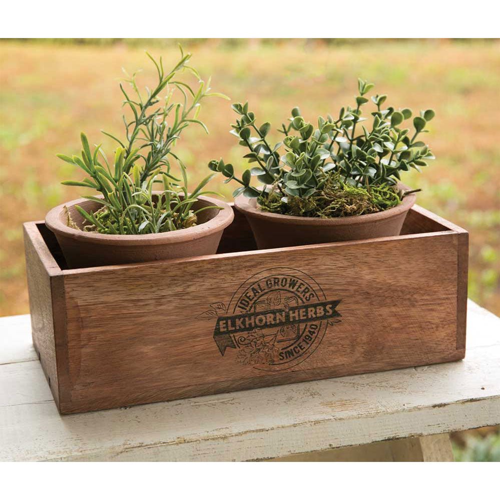 Elkhorn Herbs Planter with Two Pots - The Yardtopia