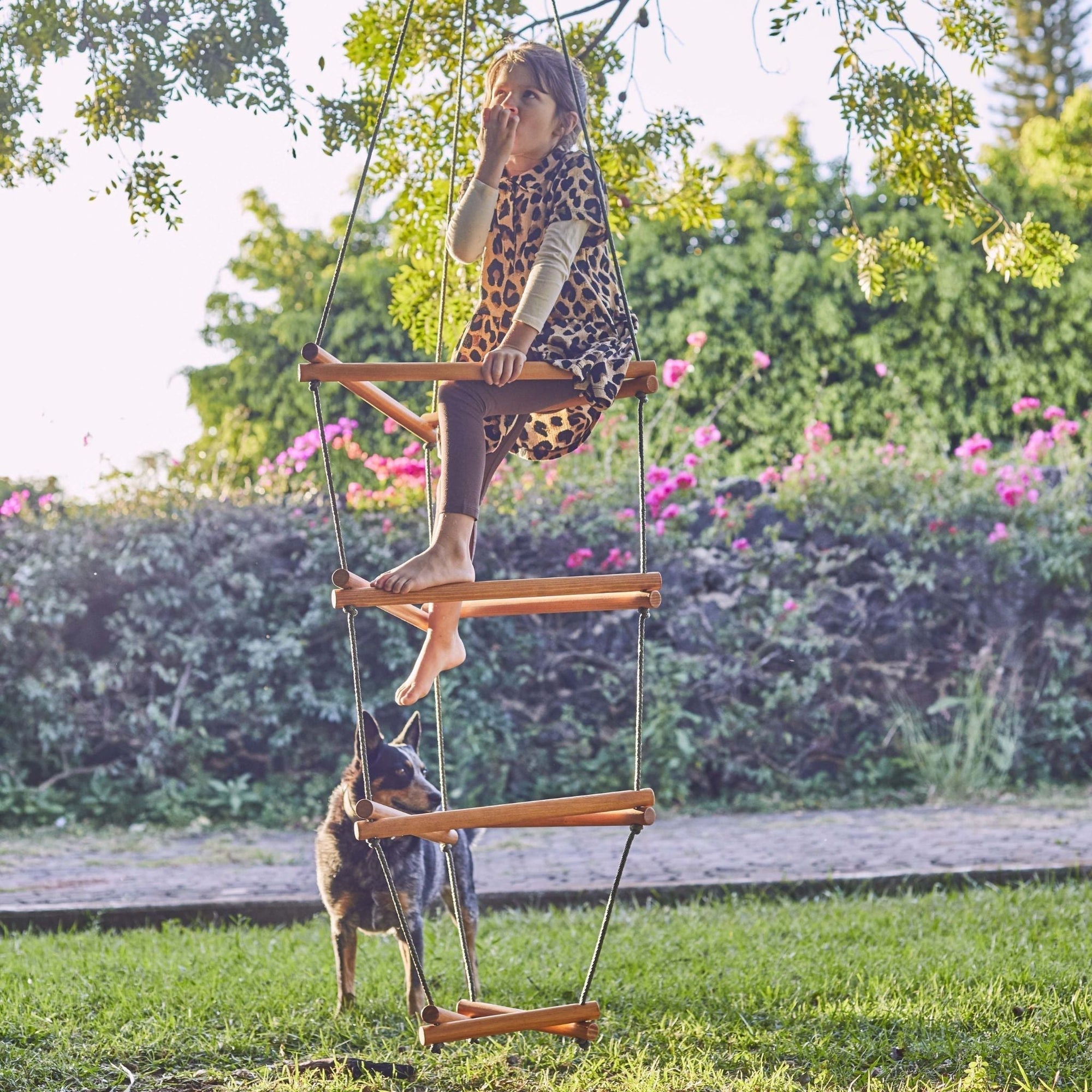 WIWIURKA WOODEN CLIMBER TRIANGULAR ROPE LADDER - The Yardtopia